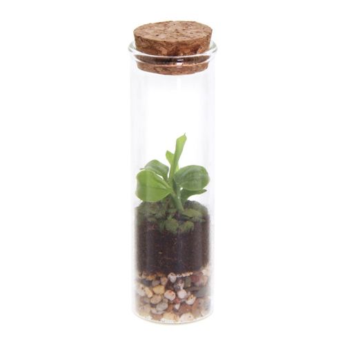 Ecosystem - Image 1
